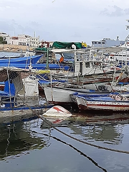 Migranti, Musumeci dichiara lo stato di crisi per Lampedusa