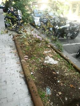 Viale Vittorio Veneto, il salotto buono di Catania