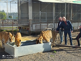 Catania, l’AIRA distribuisce pacchi spesa ai bisognosi e al personale del circo