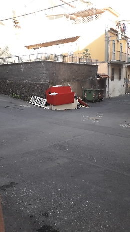 Catania: l'inciviltà non conosce estinzione della specie