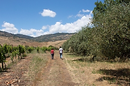 Il futuro del cibo: di qualità, a impatto zero ed ecofriendly