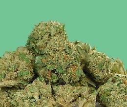 Due fratelli arrestati ad Ispica: trovati con marijuana, funghi allucinogeni ed ecstasy