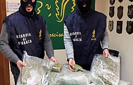 Catania, sul Tir fermato in Tangenziale il cane fiuta 6 kg di marijuana
