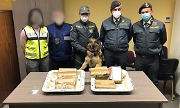 Catania, cocaina per 1 mln di euro tra containers di frutta esotica al porto