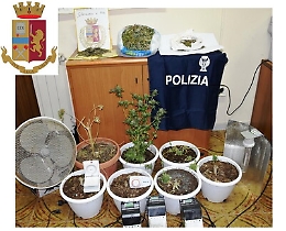 Niscemi, coltivavano marijuana in casa: fratelli arrestati dalla Polizia