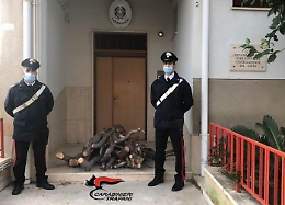 Taglia legna per il camino da albero della Provincia di Trapani: arrestato