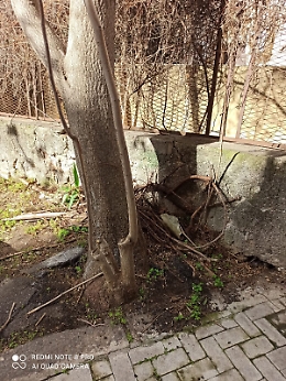 Catania: muro pericolante in via Martoglio