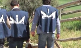 Dia confisca beni per 12 milioni nel Nisseno: c'è anche la riserva di caccia dei boss