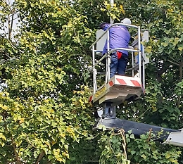 Catania, 10 videocamere per "beccare" incivili delle discariche abusive