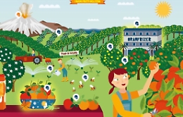 Giocare in un agrumeto digitale, torna il Giardino delle arance (in Dad)