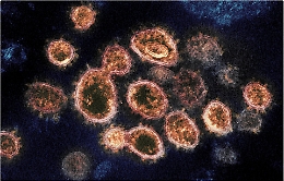 Coronavirus, 50 nuovi contagiati nell'agrigentino nelle ultime 24 ore