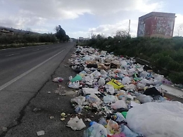 Ambientalista all'Anas: "Combattiamo insieme per l'ambiente"