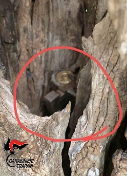 Omicidio ultras nel Trapanese, trovati due fucili nel tronco di un albero