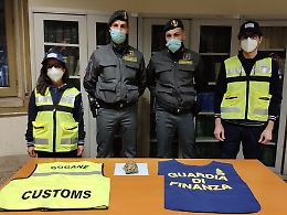 Palermo, tartaruga di specie protetta importata illegalmente dalla Tunisia