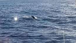 Ventidue dispersi in un naufragio nel Canale di Sicilia, 25 salvati dalla Marina tunisina