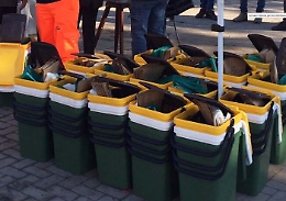 Catania, la raccolta rifiuti porta a porta arriva anche alla Civita