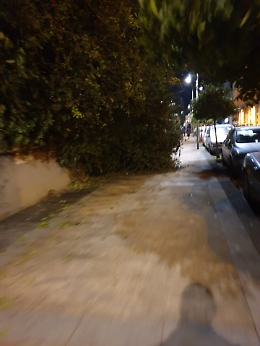 Catania: pista ciclabile invasa dai rovi
