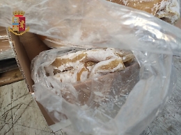 Novecento chili di trippa cotta surgelata sequestrata nel Messinese: nociva