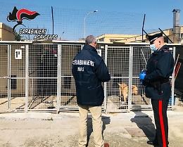 Canicatt&igrave;, il Nas sequestra il canile: &laquo;Ma gli animali sono tenuti bene&raquo;