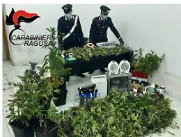 Serra di marijuana in una villa disabitata a Comiso: due arresti