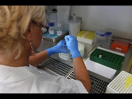 Coronavirus, la Banca del sangue di Agrigento potrà raccogliere il plasma dei cittadini guariti dal Covid 19