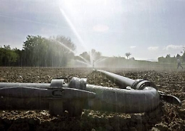 I precari dei consorzi di bonifica ancora senza certezze, la Filbi-Uila: «L'assessore Scilla dia risposte»