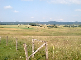 Mafia dei pascoli sui Nebrodi, processo per 104 persone