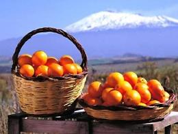 Le arance rosse di Sicilia Igp pronte a sbarcare sulle tavole degli italiani