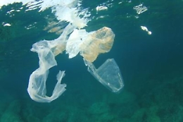 Goletta Verde arriva a Marzamemi, in spiaggia flash mob anti-plastica