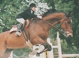 Mafia, torna in carcere anche il sequestratore del piccolo Di Matteo