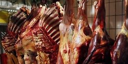 Carne di cavallo non "bollata" stava per "sbarcare" in Sicilia