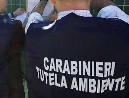 Palermo, traffico e gestione illeciti di rifiuti: 5 arresti