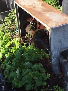 Catania, Piazza Nettuno: contatore Sidra  perde acqua da anni