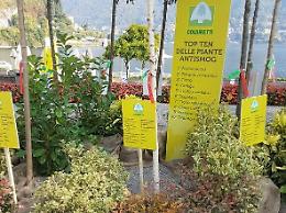 Nasce a Gela la prima oasi mangia-smog cittadina