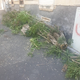 Catania: marciapiede lato sud p.zza Lanza impraticabile