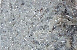 Novellame di sarda sequestrato nel Messinese: scatta sequestro