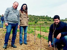 Andrea e Claudia, gli ingegneri-vignaioli che seguono i consigli di mastro "Nunzio"