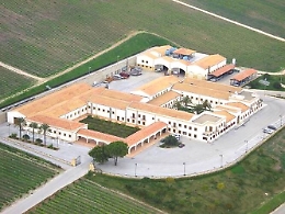 Mafia, la Gdf di Trento sequestra in Sicilia i vigneti di Feudo Arancio