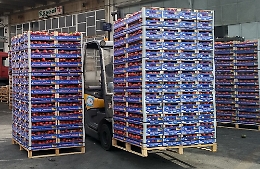 Coronavirus, dalla Sicilia ortaggi per le famiglie di Cremona in difficoltà