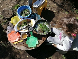 Si torna al lavoro: e i figli piccoli? L'alternativa degli Asili nel bosco