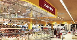 Gdo,  per il Gruppo Arena, nel 2019, fatturato a 645 mln (+44%)