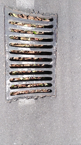 Catania, via Alan Turing: zona lasciata nel dimenticatoio