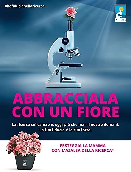 Festa della mamma, le azalee per finanziare l'Airc, quest'anno, su Amazon