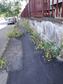 Catania: sempre peggio la situazione in via Aporti/viale Rapisardi