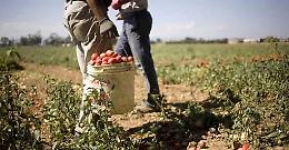 Regolarizzazione degli stranieri, in Sicilia sono almeno 20 mila