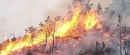 Si è già accesa la stagione degli incendi in Sicilia: è allerta rossa