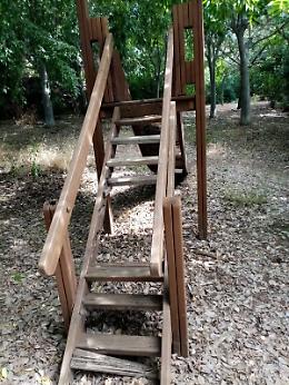 Catania: cittadina indignata dello stato in cui versa il parco Gioeni