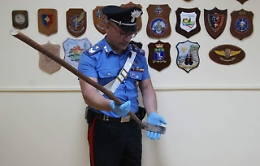 Colpo di zappa al cane e poi lo seppellisce vivo: denunciato 85enne nel Messinese