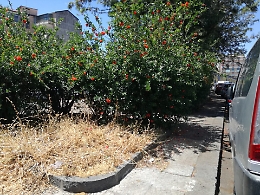 Catania: Largo Mendola non si può più passare a piedi