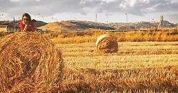 Quando un sogno diventa realtà: ecco i grani antichi di Tony Rocchetta